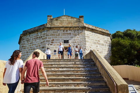 Full-Day Penguin Island & Fremantle Town - Kalgoorlie Accommodation 4