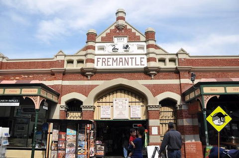 Full-Day Penguin Island & Fremantle Town - Kalgoorlie Accommodation 8