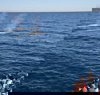 Blue Whale Perth Canyon Expedition - Kalgoorlie Accommodation