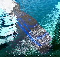 Rottnest Island Roundtrip Ferry from Perth with Transfer - Kalgoorlie Accommodation
