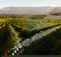 Half-Day Swan Valley Walk  Fruit Orchard - Kalgoorlie Accommodation