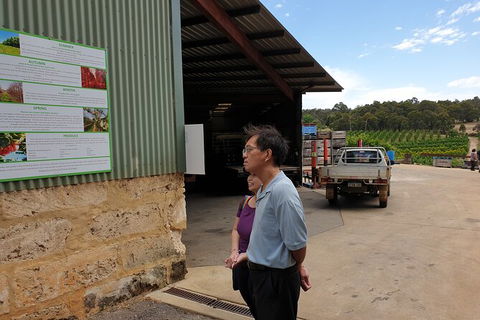 Half-Day Swan Valley Walk & Fruit Orchard - Kalgoorlie Accommodation 4