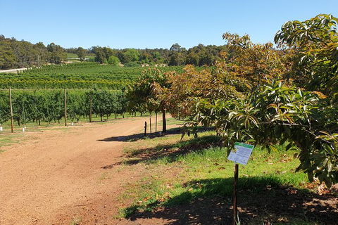 Half-Day Swan Valley Walk & Fruit Orchard - Kalgoorlie Accommodation 8