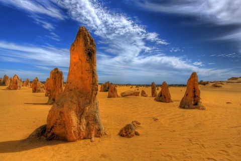 Full Day Pinnacle Desert Explorer From Perth Including Hillarys And Lancelin Sandboarding - Kalgoorlie Accommodation 5