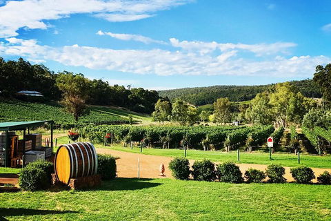 Small-Group Bickley Valley Wine Tour - Kalgoorlie Accommodation 1