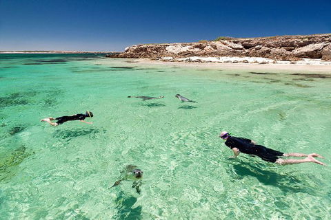 10 Day Perth To Adelaide - The Great Australian Wilderness Journey - Kalgoorlie Accommodation 6