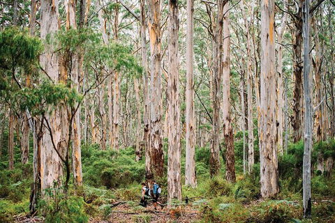 10 Day Perth To Adelaide - The Great Australian Wilderness Journey - Kalgoorlie Accommodation 18