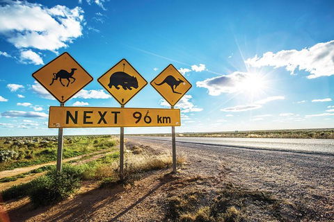 10 Day Perth To Adelaide - The Great Australian Wilderness Journey - Kalgoorlie Accommodation 17