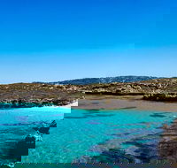Rottnest Island Roundtrip Fast Ferry from Hillarys Boat Harbour - Kalgoorlie Accommodation