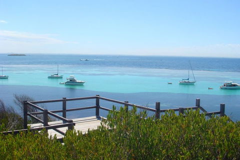 Rottnest Bayseeker Bus Tour From Hillarys Boat Harbour - Kalgoorlie Accommodation 3