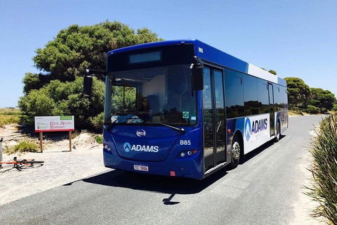 Rottnest Bayseeker Bus Tour From Hillarys Boat Harbour - Kalgoorlie Accommodation 2