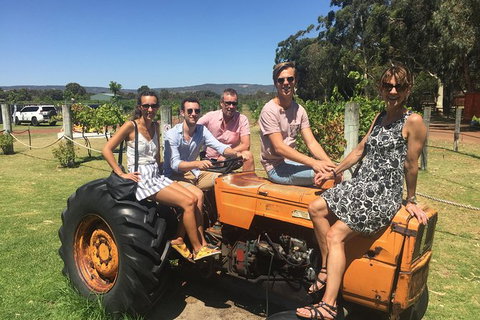 Half Day Swan Valley Wine Tour - Kalgoorlie Accommodation 6
