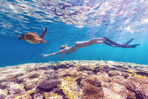 7-Day Exmouth Explorer Via Pinnacles Monkey Mia Ningaloo Reef Returning To Perth - Kalgoorlie Accommodation 0