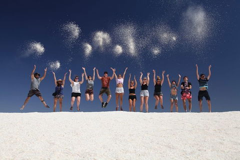 7-Day Exmouth Explorer Via Pinnacles Monkey Mia Ningaloo Reef Returning To Perth - Kalgoorlie Accommodation 1