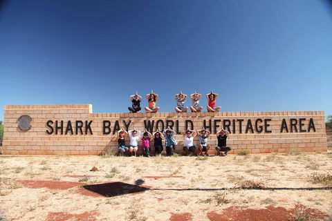 7-Day Exmouth Explorer Via Pinnacles Monkey Mia Ningaloo Reef Returning To Perth - Kalgoorlie Accommodation 14