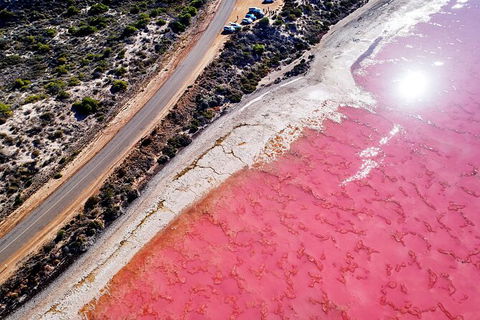 7-Day Exmouth Explorer Via Pinnacles Monkey Mia Ningaloo Reef Returning To Perth - Kalgoorlie Accommodation 5