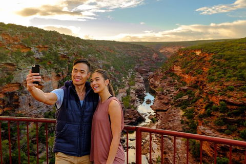 7-Day Exmouth Explorer Via Pinnacles Monkey Mia Ningaloo Reef Returning To Perth - Kalgoorlie Accommodation 2