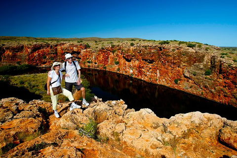 7-Day Exmouth Explorer Via Pinnacles Monkey Mia Ningaloo Reef Returning To Perth - Kalgoorlie Accommodation 12