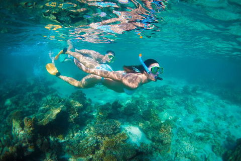 7-Day Exmouth Explorer Via Pinnacles Monkey Mia Ningaloo Reef Returning To Perth - Kalgoorlie Accommodation 13