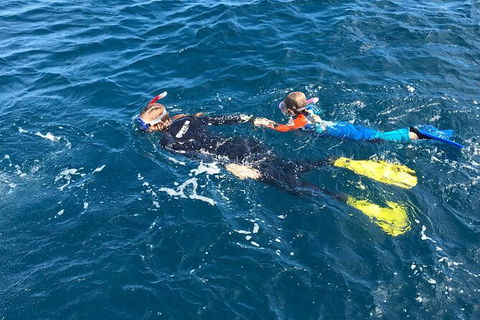 Deluxe WhaleShark Swim Tour On The Ningaloo Reef From Exmouth - Kalgoorlie Accommodation 5