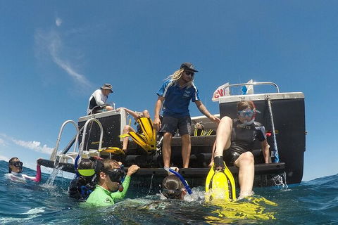 Deluxe WhaleShark Swim Tour On The Ningaloo Reef From Exmouth - Kalgoorlie Accommodation 6