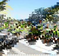 Kings Park Segway Tour - Kalgoorlie Accommodation