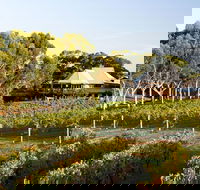 Margaret River and Geographe Bay Region Day Trip from Perth - Kalgoorlie Accommodation