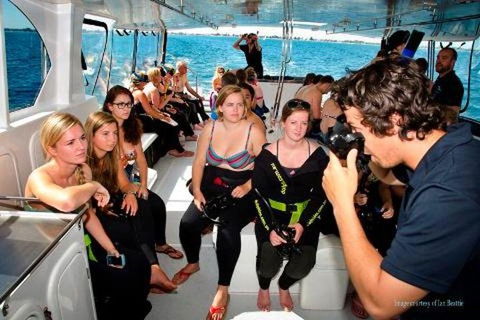 Swim With Wild Dolphins - Kalgoorlie Accommodation 1