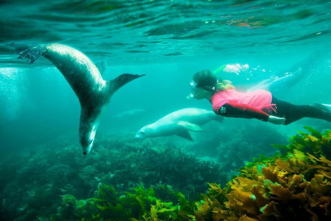 9-Day Perth To Adelaide Adventure Tour - Kalgoorlie Accommodation 7