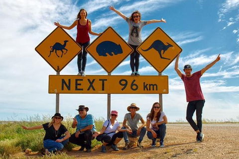9-Day Perth To Adelaide Adventure Tour - Kalgoorlie Accommodation 2