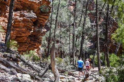 9-Day Perth To Adelaide Adventure Tour - Kalgoorlie Accommodation 15
