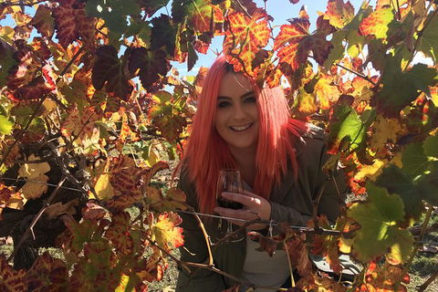 Swan Valley Winery Experience - Full Day Coach Tour - Kalgoorlie Accommodation 0
