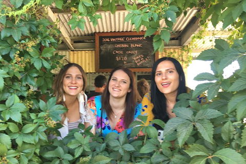 Perth River Cruise And Vineyard Experience: Best Of Both Worlds - Kalgoorlie Accommodation 1