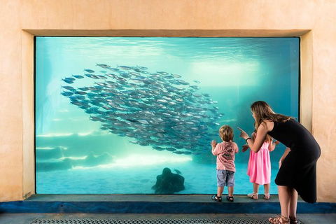 AQWA The Aquarium Of Western Australia: General Admission - Kalgoorlie Accommodation 0