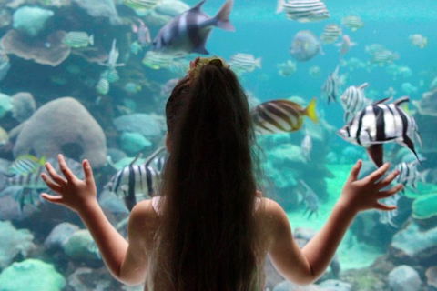 AQWA The Aquarium Of Western Australia: General Admission - Kalgoorlie Accommodation 1