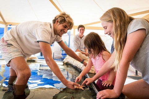 AQWA The Aquarium Of Western Australia: General Admission - Kalgoorlie Accommodation 5