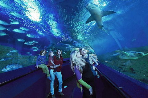 AQWA The Aquarium Of Western Australia: General Admission - Kalgoorlie Accommodation 14