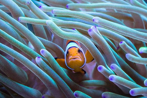 AQWA The Aquarium Of Western Australia: General Admission - Kalgoorlie Accommodation 4