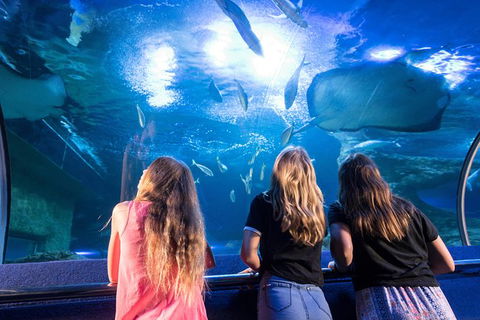 AQWA The Aquarium Of Western Australia: General Admission - Kalgoorlie Accommodation 7