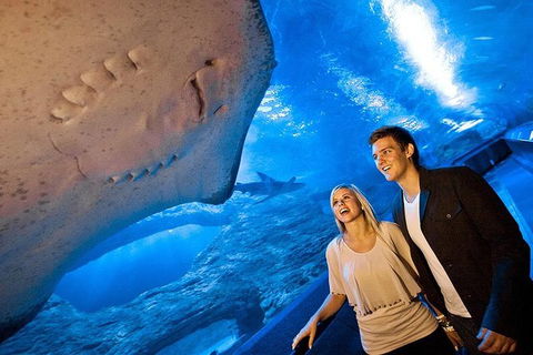 AQWA The Aquarium Of Western Australia: General Admission - Kalgoorlie Accommodation 6