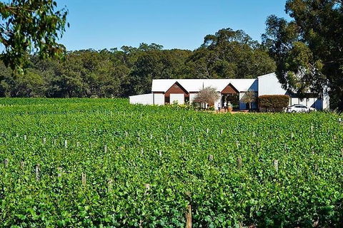 Upper Reach Winery: Swan Valley Winery And Vineyard Tour - Kalgoorlie Accommodation 0