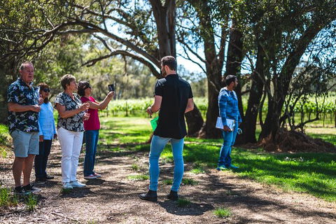 Upper Reach Winery: Swan Valley Winery And Vineyard Tour - Kalgoorlie Accommodation 8