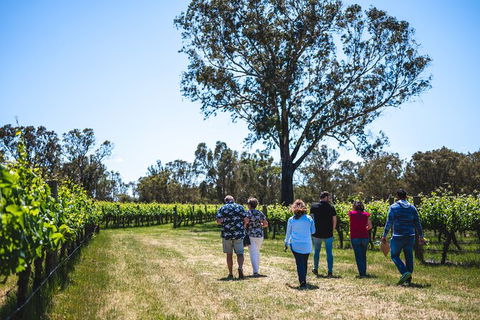 Upper Reach Winery: Swan Valley Winery And Vineyard Tour - Kalgoorlie Accommodation 3