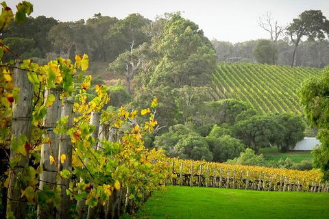 Half-Day Swan Valley & Wildlife Park Tour - Kalgoorlie Accommodation 2