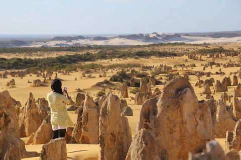 Full-Day Pinnacles Sandboarding And Yanchep National Park From Perth - Kalgoorlie Accommodation 0