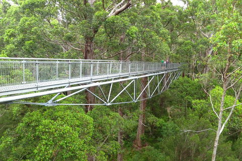 Albany Southwest Wilderness Day Tour - Fly From Perth - Kalgoorlie Accommodation 2