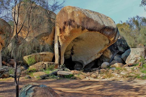 Wave Rock & Rottnest Island - Air & Ground Tour - Kalgoorlie Accommodation 7