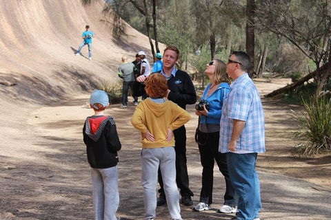Wave Rock & Rottnest Island - Air & Ground Tour - Kalgoorlie Accommodation 3
