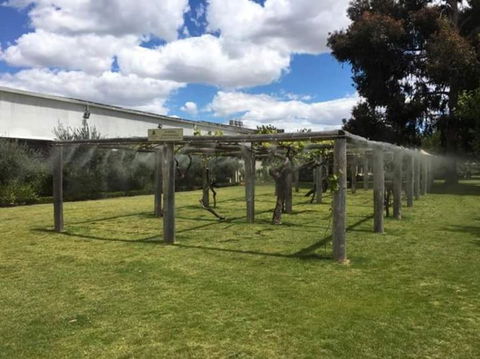 Swan Valley Gourmet Wine Cruise From Perth - Kalgoorlie Accommodation 5