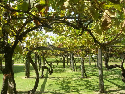 Swan Valley Gourmet Wine Cruise From Perth - Kalgoorlie Accommodation 8